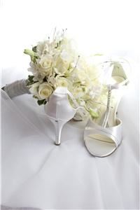 Dana Marie Photography