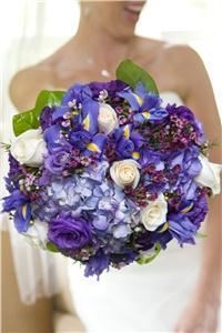 Dana Marie Photography