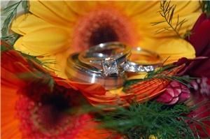 Heather J Stout Photography