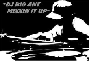 BIG ANT DJ SERVICE
