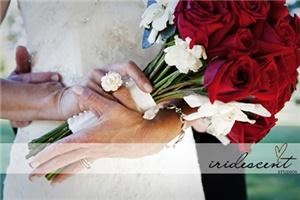 Iridescent Studios - Indianapolis