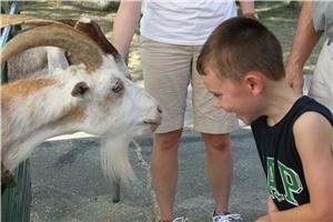 Honey Hill Farm 41018