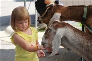 Honey Hill Farm 41018