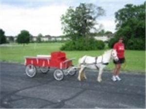 Honey Hill Farm 41018