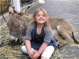 Honey Hill Farm 41018