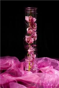 Anastasia's Design Co