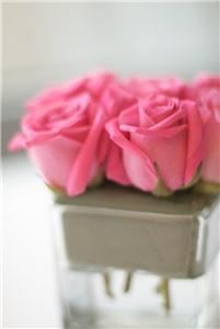 Kyle MacKillop Photography