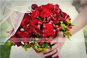 Bethany Fields Photography