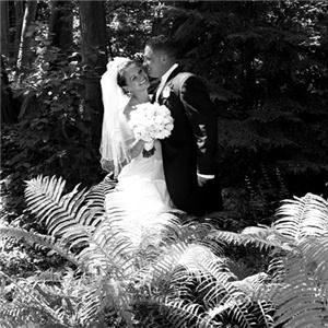 Jim Nelson Photography - Gaylord