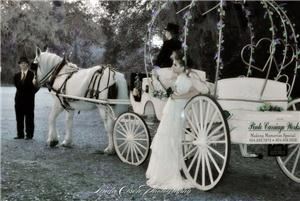 Pinto Carriage Works, LLC - Lake City