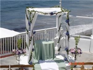 My Fair Lady Flowers