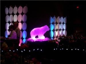 Duluth Event Lighting