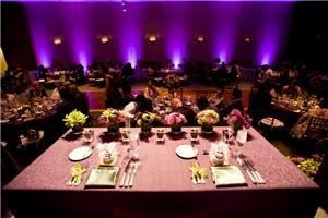 New York Entertainment