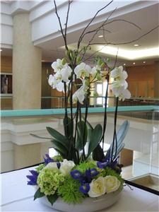 Fleurish Design Studio