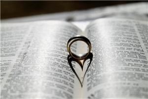 Old Country Road Photography