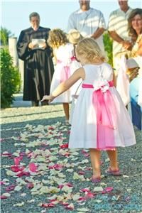 Marisa Taylor Photography