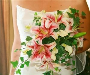 Marisa Taylor Photography