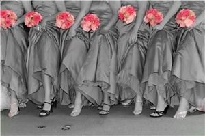 Tracy Brown Photography