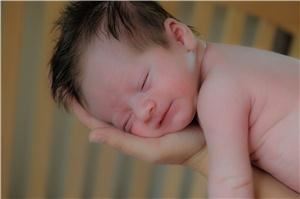 Tracy Brown Photography