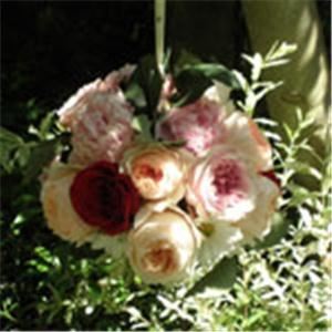 Ganim's Garden Center and Florist