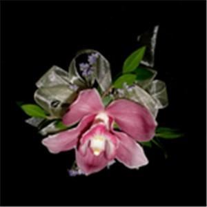 Ganim's Garden Center and Florist