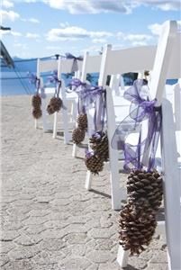 Ocean Blue Photography and Design