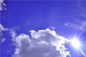 Michelle Johnson Photography