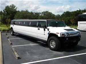 A1 Tampa Limo & Tampa Party Bus Fl