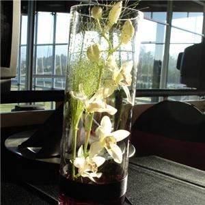 reFresh Events - Abbotsford