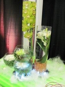 The Wild Iris Gifts & Botanicals LLC