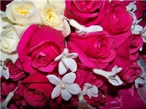 Life Allegro Photography