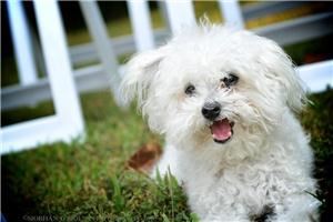 Annapolis Wedding Chapel