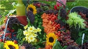 Alexa's Cafe and Catering