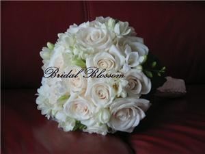 Bridal Blossom