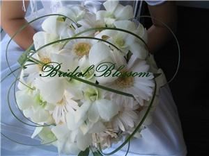 Bridal Blossom