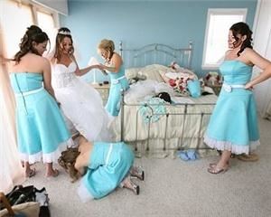 Evolution Photography