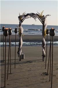 Charleston Wedding Service