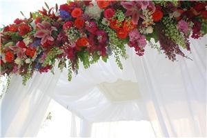 Brenda Abbott Floral Design