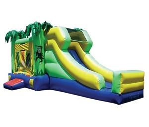 Mega Bounce Rentals- Moonwalks in Houston