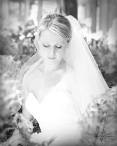 Valarie Hoffman Photography