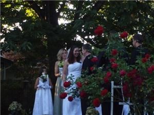 Celebrations by Amber, LLC