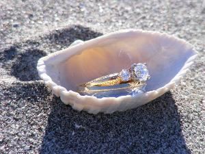 Vann's Budget Wedding Photography