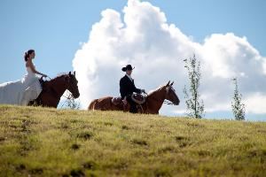 Devon Coles' Garden Gallery Inc.