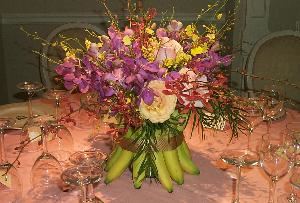 Heaven & Earth Floral