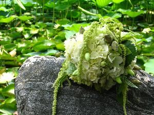 Brian Coovert Floral Design