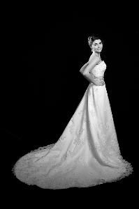 IWP Photography & Video