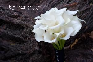 Tessa Perkins Photography