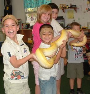 Desert Moon Entertainment