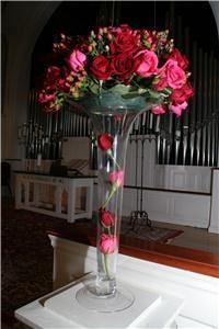 Blue Ivy - Palm Beach