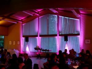 Verducci Entertainment